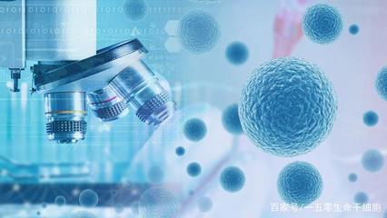 完善干細胞治療臨床技術指導，推動人體干細胞技術開發與應用