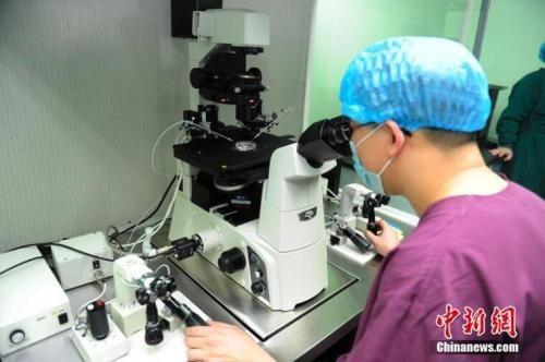 基因編輯的倫理邊界與科學責任 從賀建奎事件看人體干細胞技術的焦點與未來