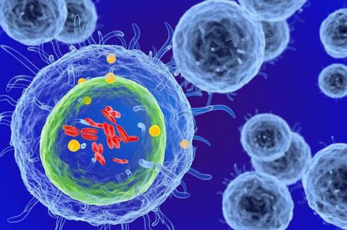 細胞治療 以生命修復生命，干細胞技術(shù)引領(lǐng)現(xiàn)代醫(yī)學革命